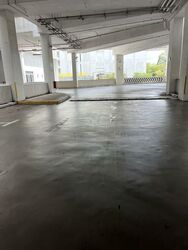 North Spring Bizhub (D27), Factory #566769081